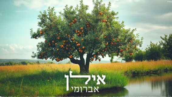 ‏‏לכידה