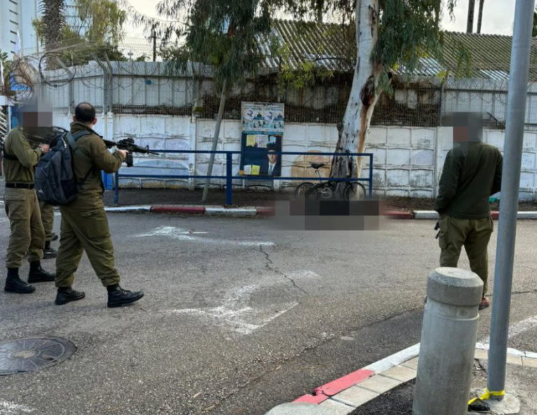 ‏‏לכידה