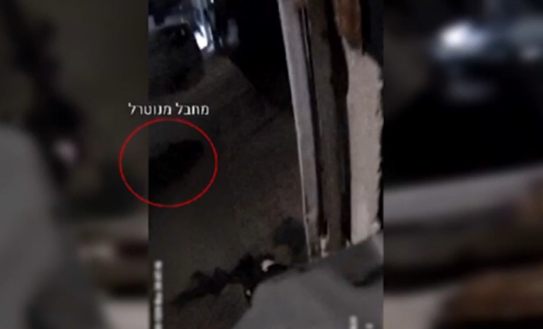 ‏‏לכידה