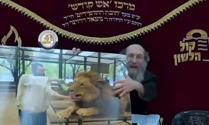 ‏‏לכידה