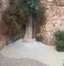 ‏‏לכידה