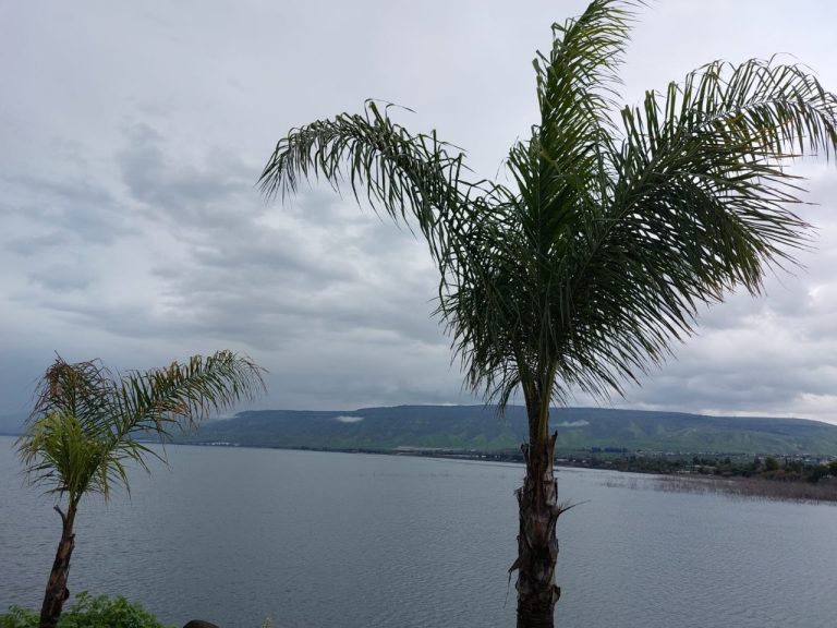 photo1707025892