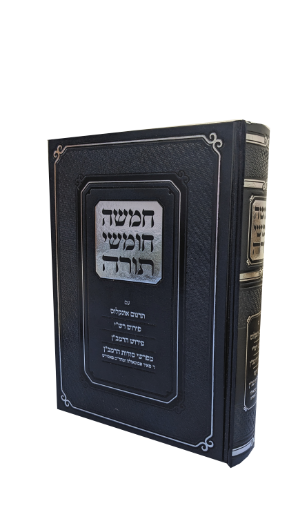 הדמיה (5)