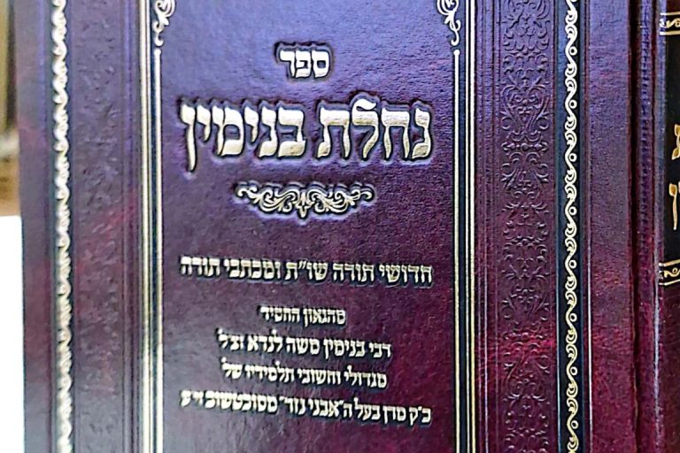 הדמיית הספר