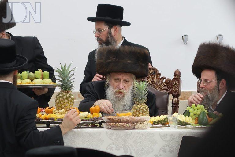 טשארנאביל טו בשבט פד (4)