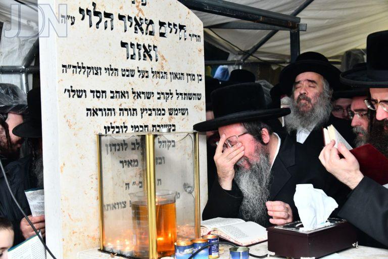 מחשבת הלוי הילולא (67)