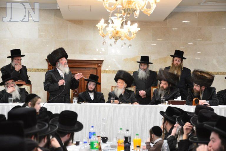סערט ויז'ניץ פיטסבורג מאור חיים (18)
