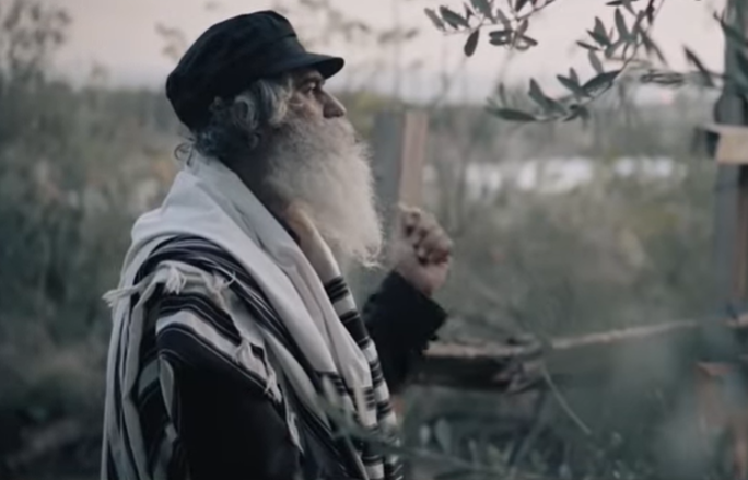 ‏‏לכידה