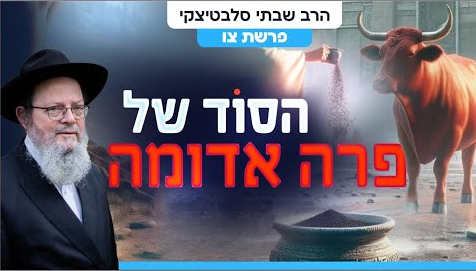Screenshot_12