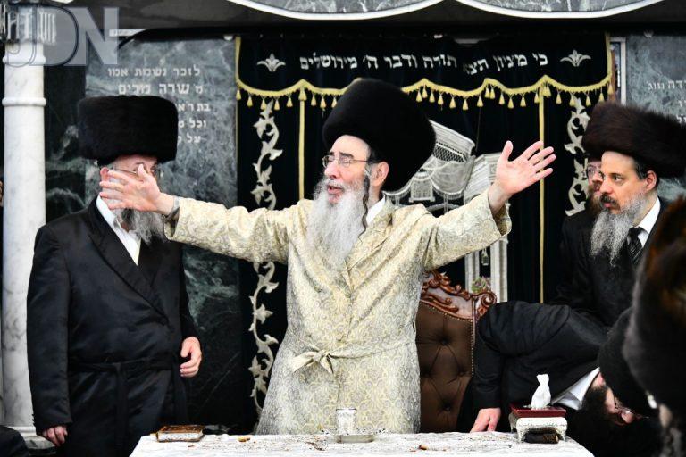 אלכסנדר פורים פד (19)