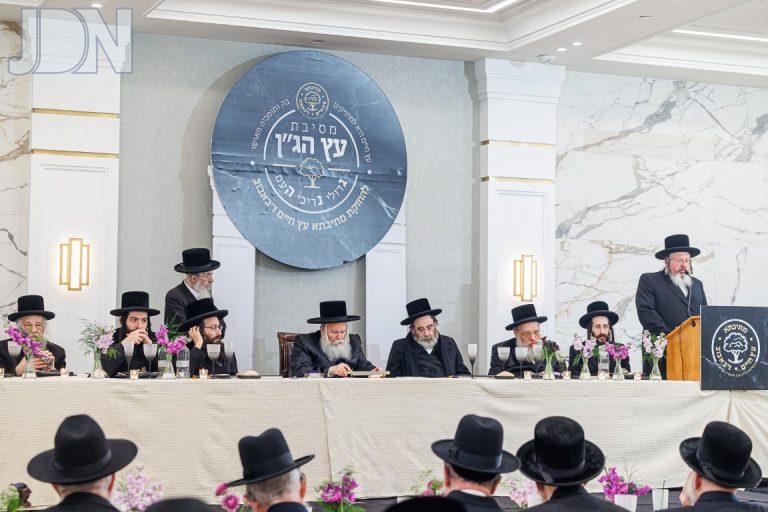 באבוב דינר (5)