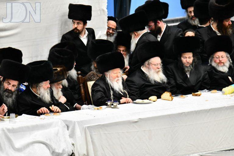 גור משתה היין (17)