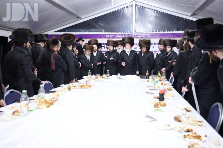 גלריה שניה מליז'ענסק (32)