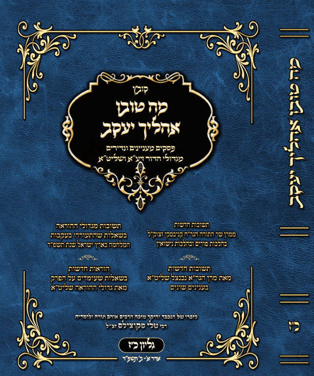 הדמיה מה טובו כז (1)