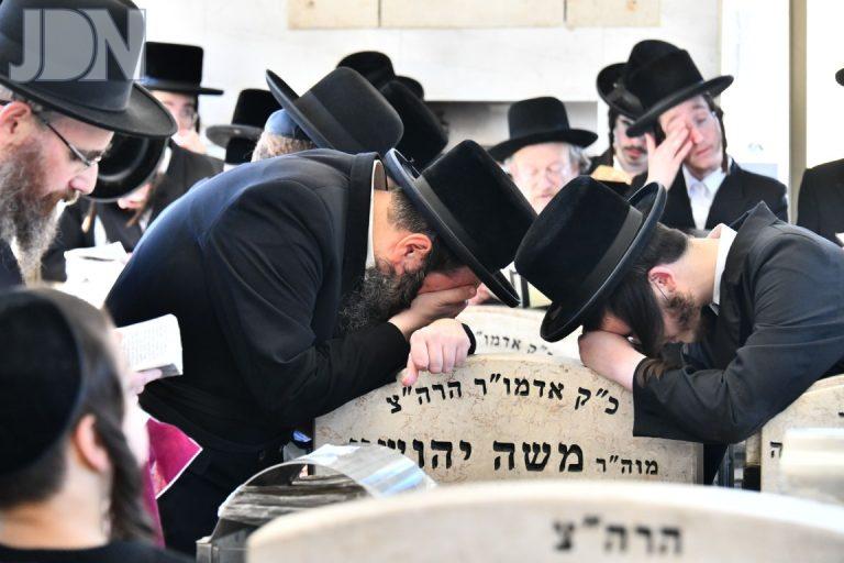 ויז'ניץ ישועות משה הילולא (16)