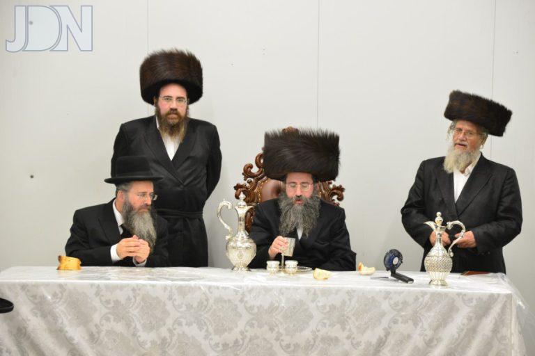 טאלנא משתה היין (6)