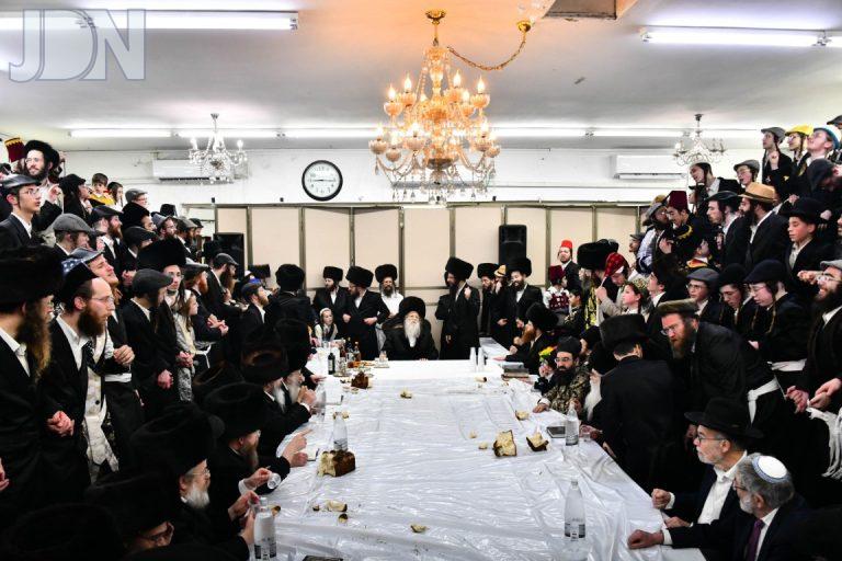 לרר מודזיץ (12)