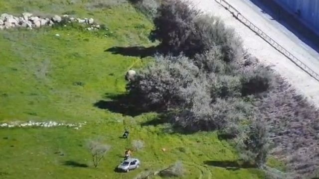 __צילום מסך (1556)_640x360