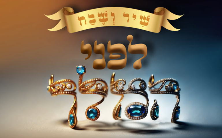 צילום מסך 2024-03-18 213306 (Small)