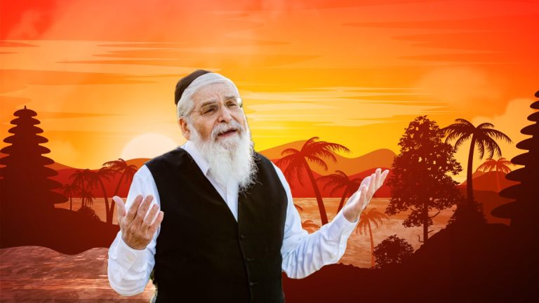 תמונת יח''צ (2)