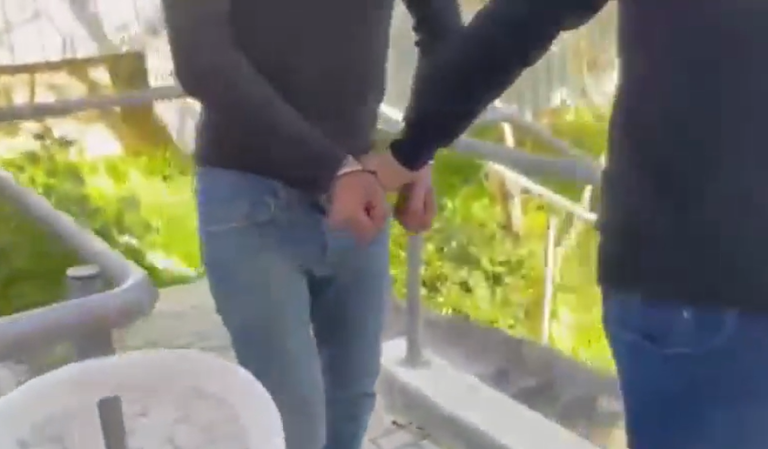 ‏‏לכידה