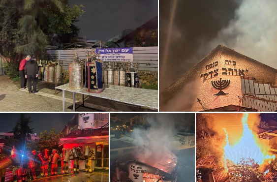 ‏‏לכידה