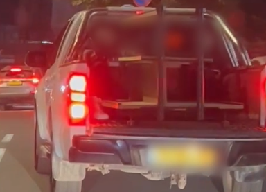 ‏‏לכידה