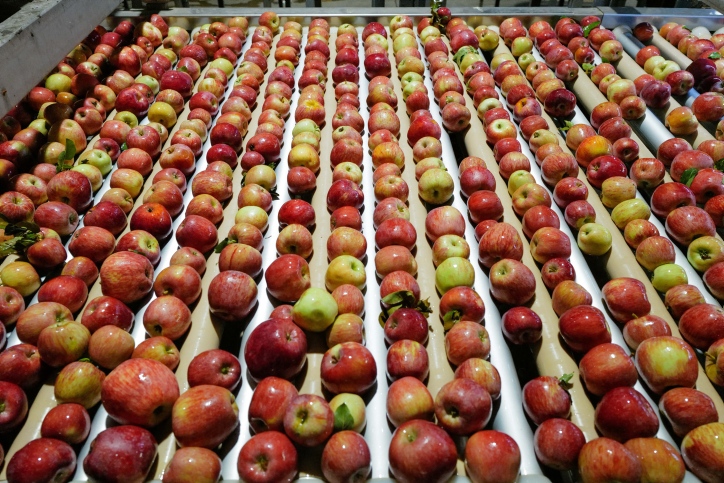 BERESHEET APPLE FACTORY