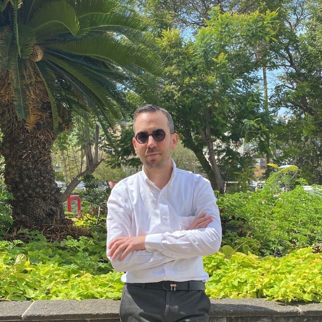 הניצחון המוחלש / רועי ויזאן
