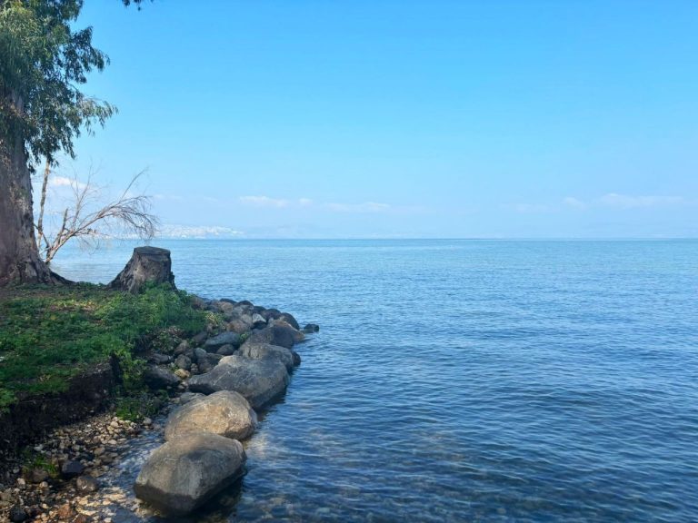 photo1713164784 (2)