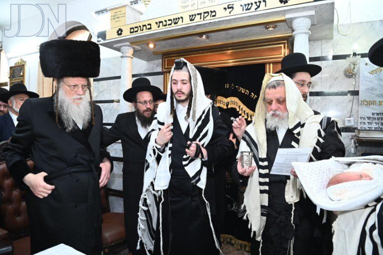 ברית לנין מודז'יץ לעלוב (13)