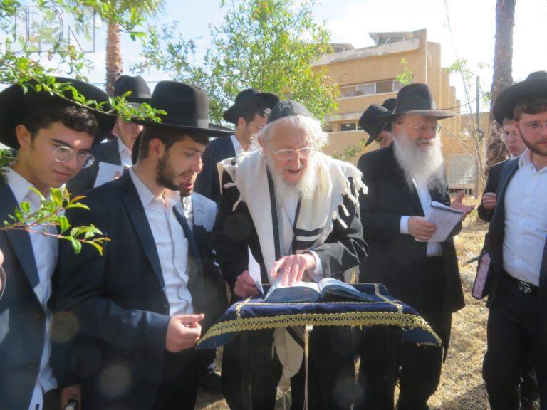 הגר''א לוי ברכת האילנות (5)