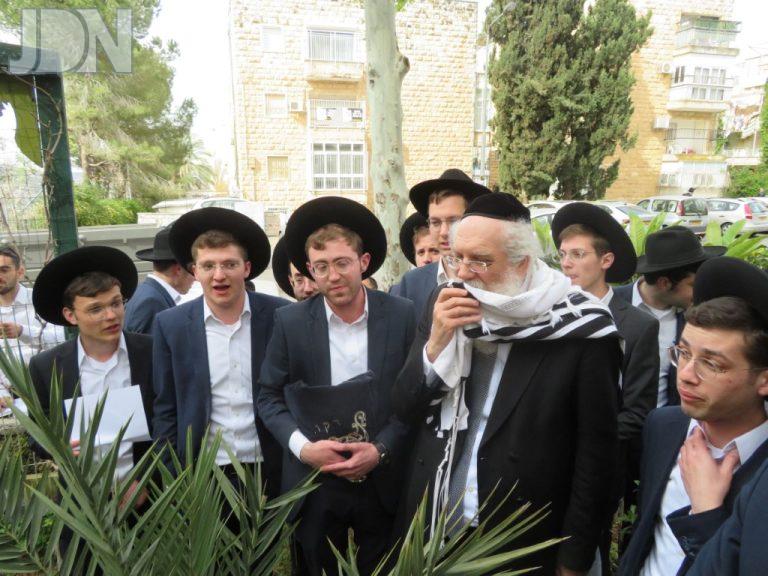 הגר''ד וולפסון ברכת האילנות (6)
