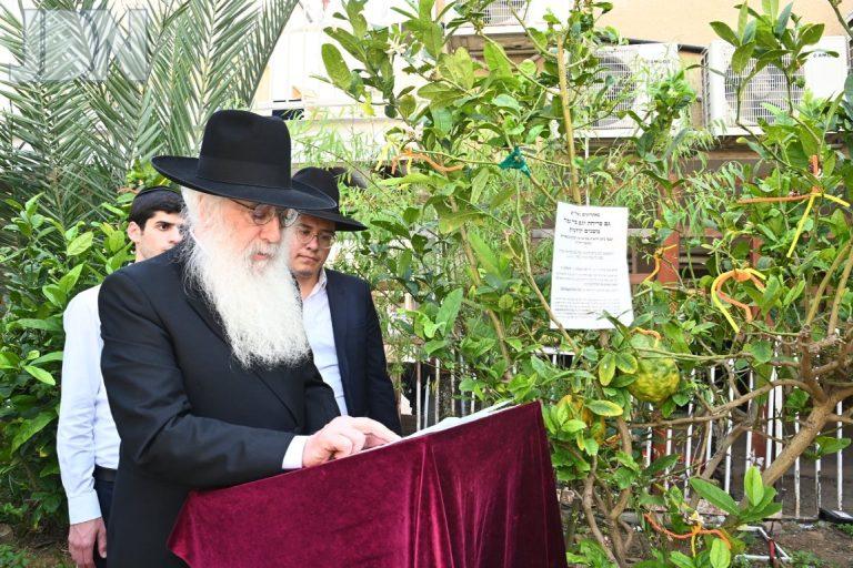 הגרד''ח פינטו ברכת האילנות (24)