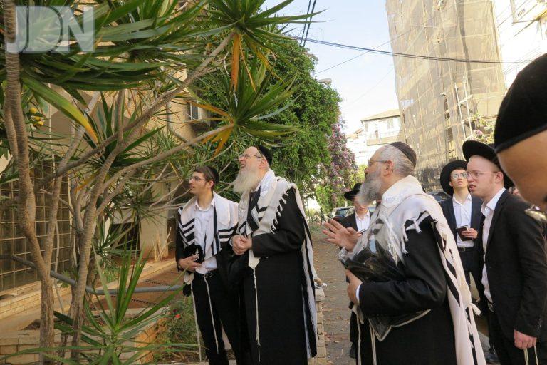 הגר''י קרפ ברכת האילנות (3)
