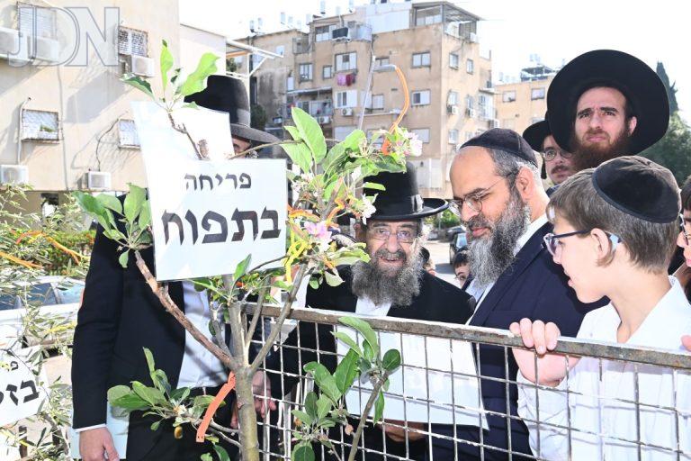 הגר''מ בן שמעון ברכת האילנות (2)
