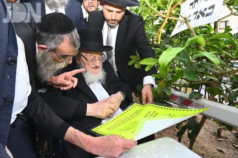הגרמ''צ ברגמן ברכת האילנות (6)