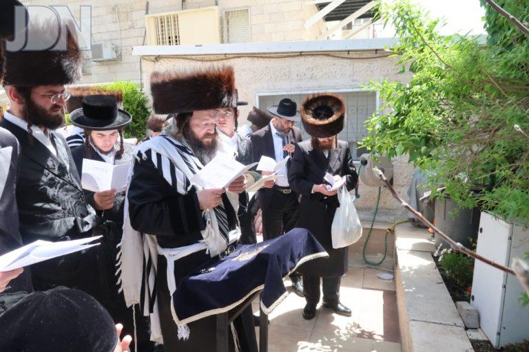 זוטשקא ירושלים ברכת האילנות (13)