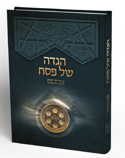 להבין הדמיה (Small)