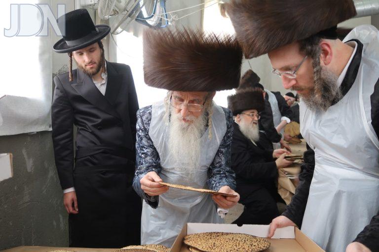 מעליץ ערב פסח (23)