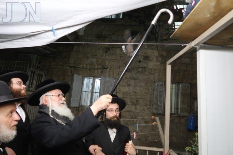משכנות הרועים שילוח הקן (4)