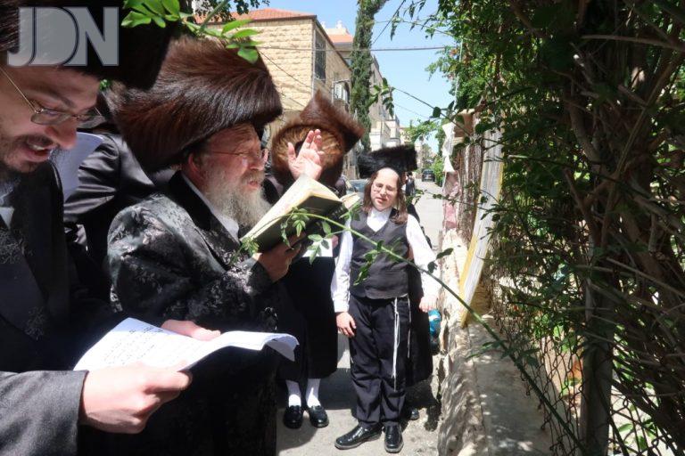 נדבורנא באניא ברכת האילנות (17)