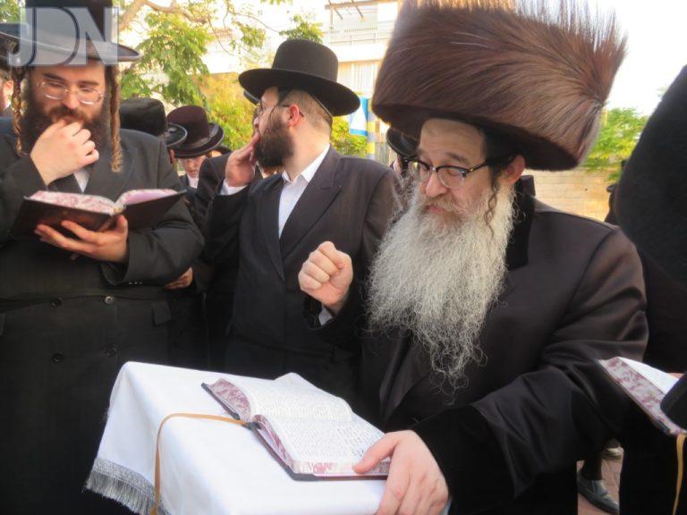 נדבורנה אלעד ברכת האילנות (2)