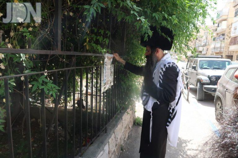 סטריקוב ברכת האילנות (9)