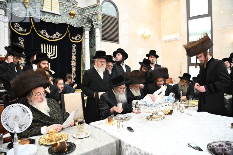 ספינקא - קרעטשניף - מערב ב''ב - ערלוי פדיון הבן (14)