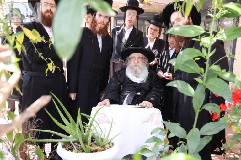 פוריסוב ברכת האילנות (2)