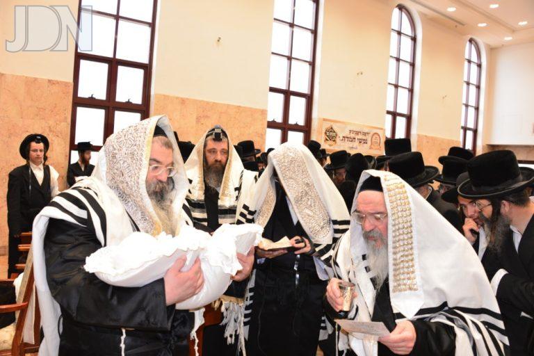 פיטסבורג - קרעטשניף ירושלים - מאור חיים ברית (9)