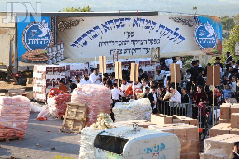 צפת קמחא דפסחא להחיות (8)