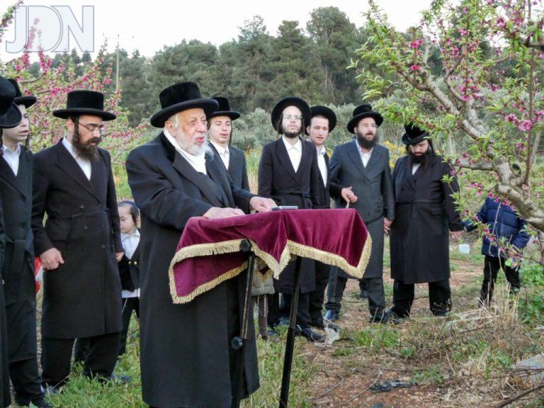 קאפיטשיניץ ברכת האילנות ושאיבת מים שלנו (2)