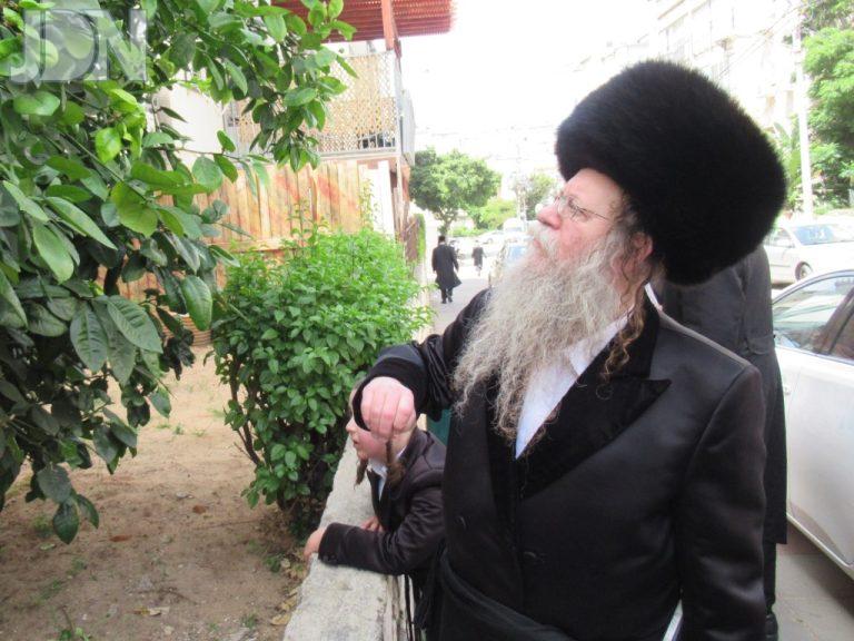 קוזמיר ברכת האילנות (10)